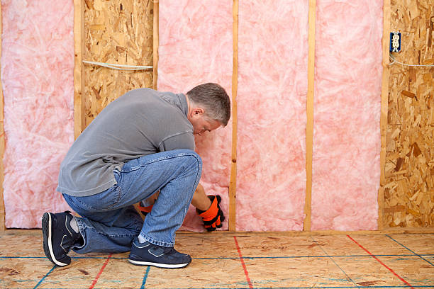 Types of Insulation We Offer in Portola, CA
