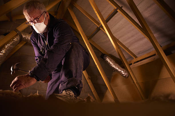 Professional Insulation Contractor in Portola, CA