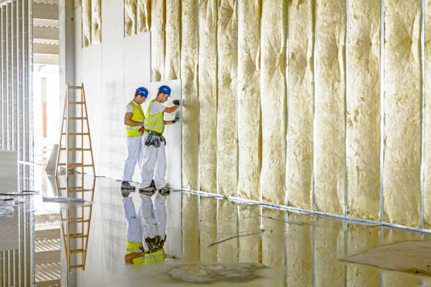 Best Spray Foam Insulation in Portola, CA